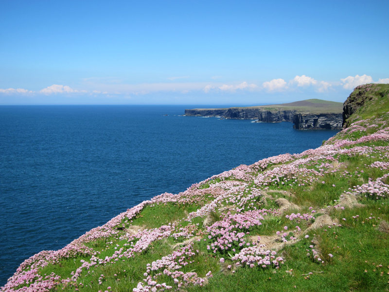 North Coast of Loop's Head, County Clare, Ireland, Spring 2014